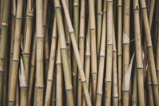 BAMBOO | UNDERWEAR