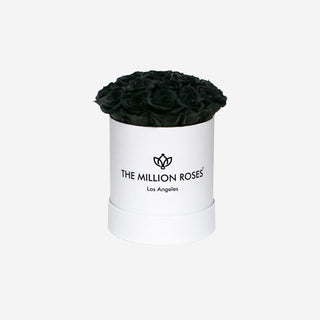 Basic White Box | Black Roses