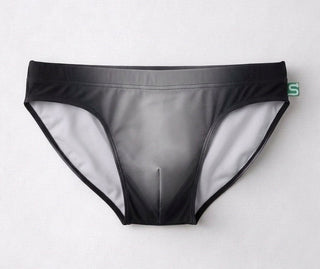 The Seaman Statement Brief