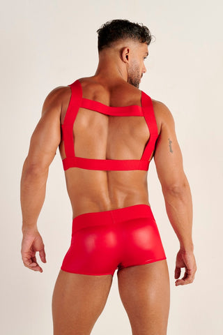 Night Universe | Harness | Red