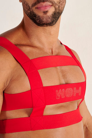 Night Universe | Harness | Red
