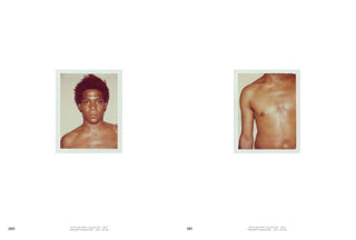 Andy Warhol: Velvet Rage and Beauty