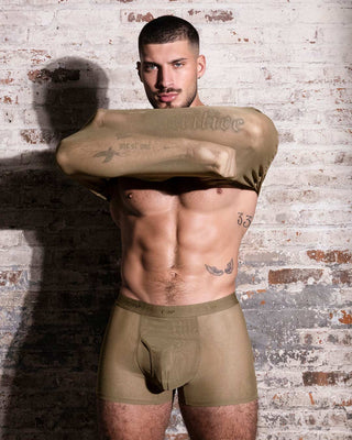 Sheer Boxer Brief Dark Nude
