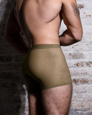 Sheer Boxer Brief Dark Nude