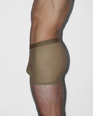 Sheer Boxer Brief Dark Nude