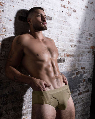 Sheer Fly Front Brief Dark Nude