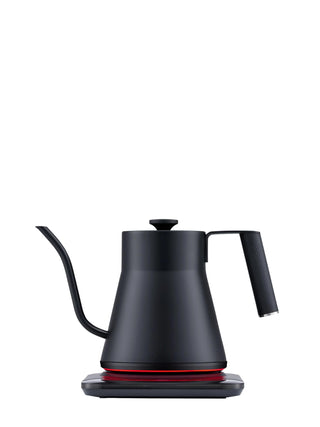 Baristan Gooseneck Kettle