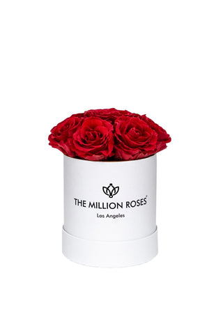 Basic White Box | Red Roses