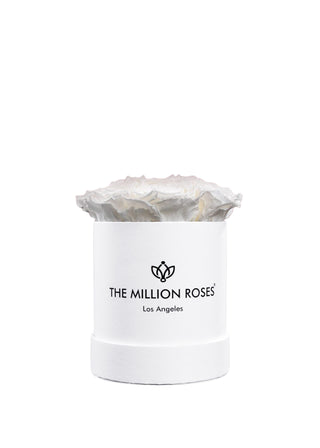 Basic White Box | White Roses