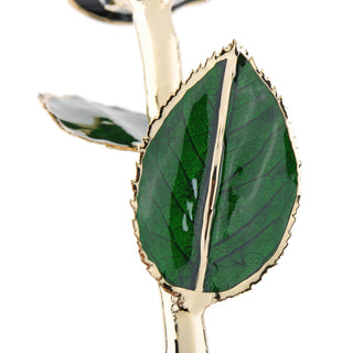 Timeless Rose | Black