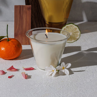 Oud & Bergamot | AIZ Candle