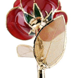 Timeless Rose | Dark Red