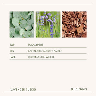 Lavender Suede Candle | Lucienne