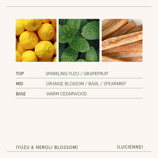 Yuzu & Neroli Blossom Candle | Lucienne