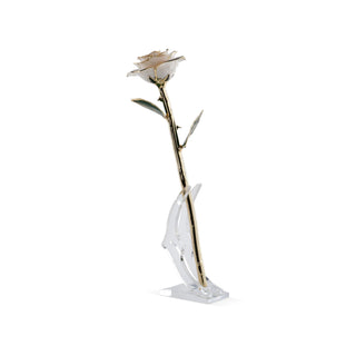 Timeless Rose | White