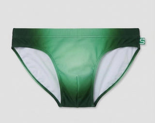 The Seaman Statement Brief