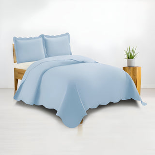 400TC Cotton Sateen Solid Scalloped Duvet Cover Set